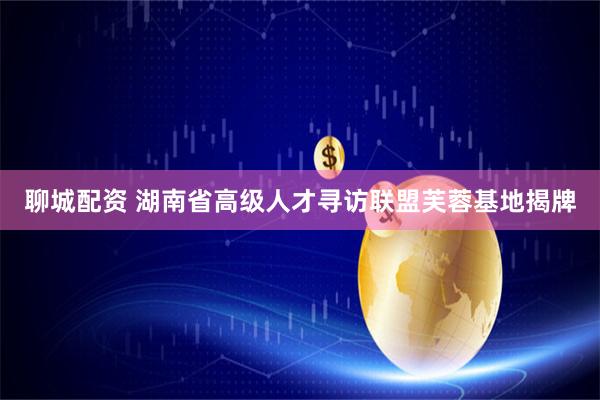 聊城配资 湖南省高级人才寻访联盟芙蓉基地揭牌