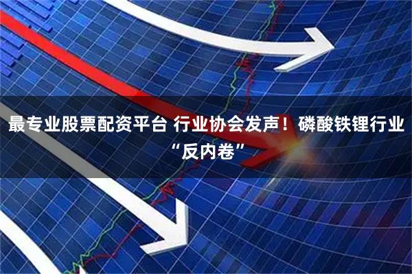 最专业股票配资平台 行业协会发声！磷酸铁锂行业“反内卷”