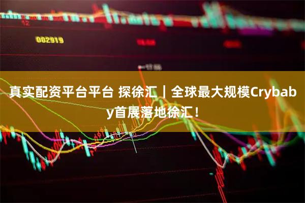 真实配资平台平台 探徐汇｜全球最大规模Crybaby首展落地徐汇！