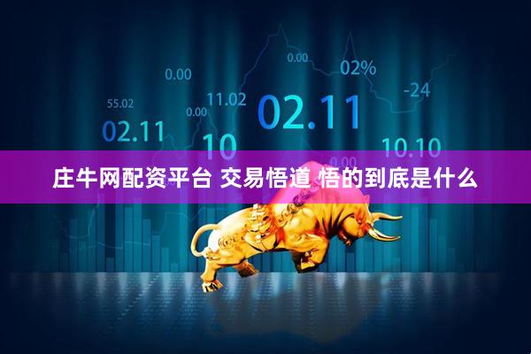 庄牛网配资平台 交易悟道 悟的到底是什么