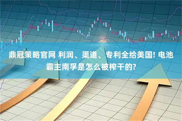 鼎冠策略官网 利润、渠道、专利全给美国! 电池霸主南孚是怎么被榨干的?