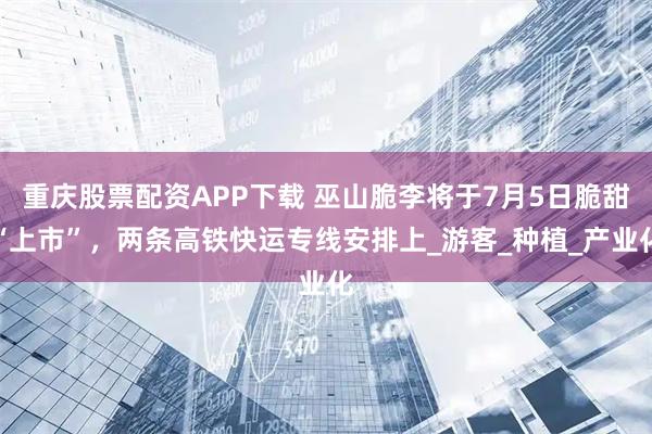 重庆股票配资APP下载 巫山脆李将于7月5日脆甜“上市”，两条高铁快运专线安排上_游客_种植_产业化
