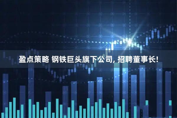 盈点策略 钢铁巨头旗下公司, 招聘董事长!