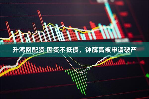 升鸿网配资 因资不抵债，钟薛高被申请破产