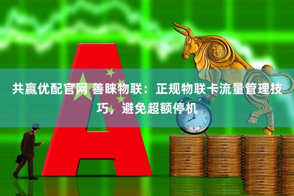 共赢优配官网 善睐物联：正规物联卡流量管理技巧，避免超额停机